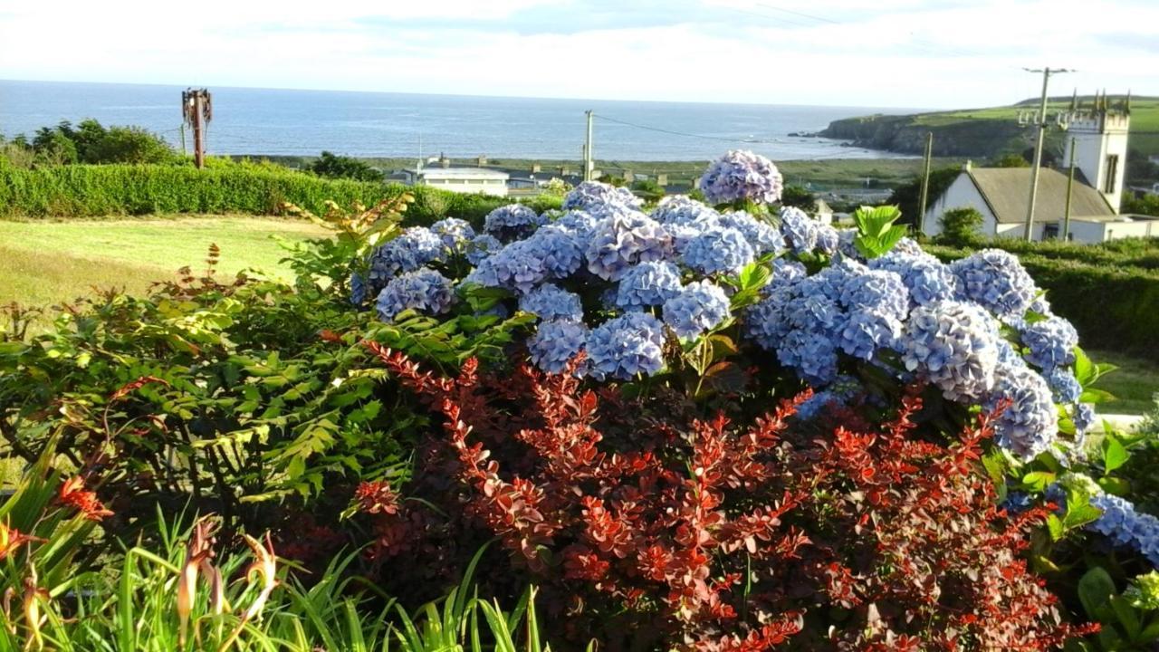 Copperfield House B & B Bunmahon エクステリア 写真