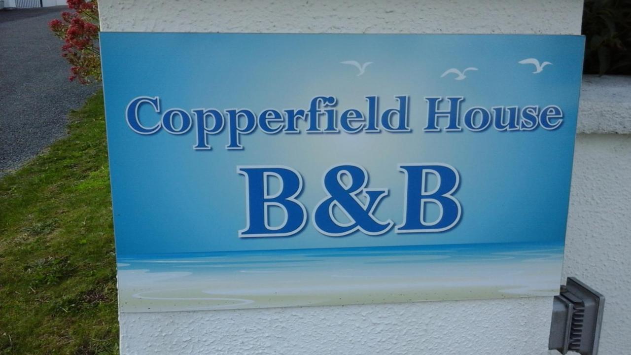 Copperfield House B & B Bunmahon エクステリア 写真